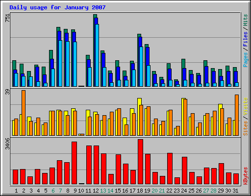 Daily usage for January 2007