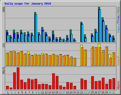 Daily usage for January 2010