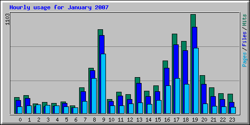 Hourly usage for January 2007