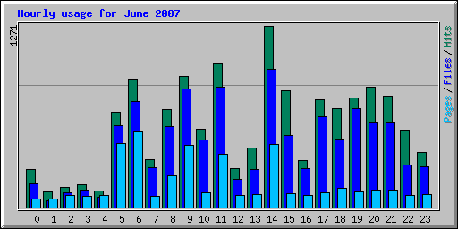 Hourly usage for June 2007