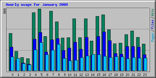 Hourly usage for January 2009