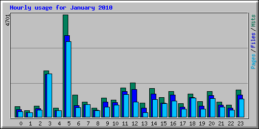 Hourly usage for January 2010