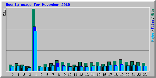 Hourly usage for November 2010