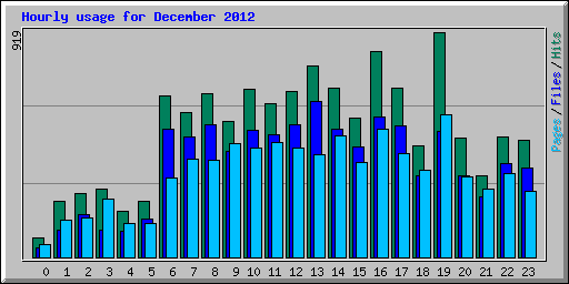 Hourly usage for December 2012