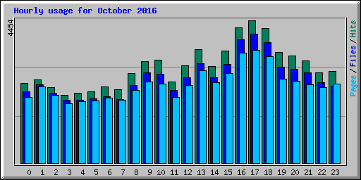 Hourly usage for October 2016