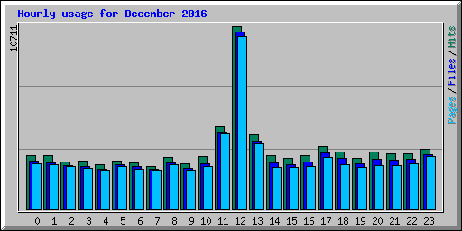 Hourly usage for December 2016