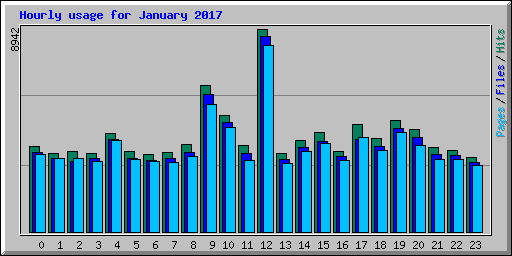 Hourly usage for January 2017