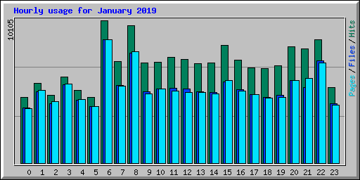 Hourly usage for January 2019