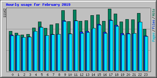 Hourly usage for February 2019