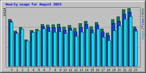 Hourly usage for August 2023