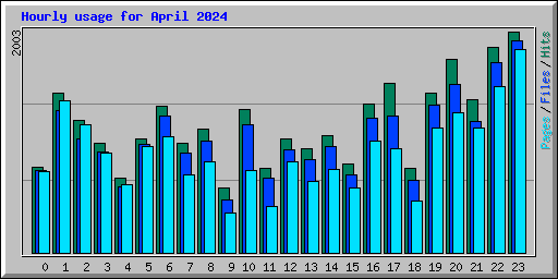 Hourly usage for April 2024