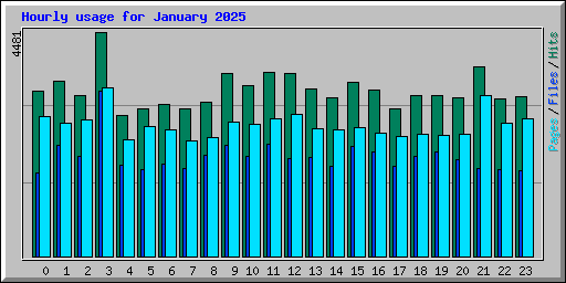 Hourly usage for January 2025