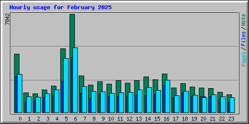 Hourly usage for February 2025