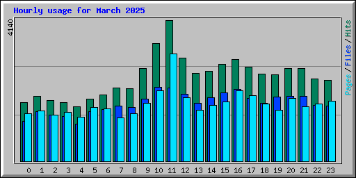 Hourly usage for March 2025