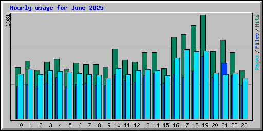Hourly usage for June 2025